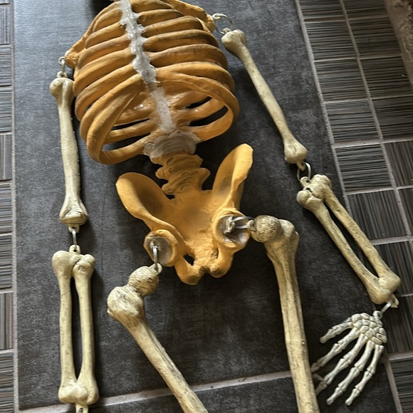 vtg Hanging Skeleton Halloween decor 33x10 not too big legs & arms removable - Picture 3 of 8